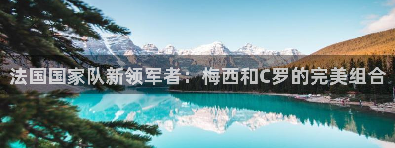 葡萄牙世界杯赛程:法国国家队新领军者:梅西和C罗的完美组合