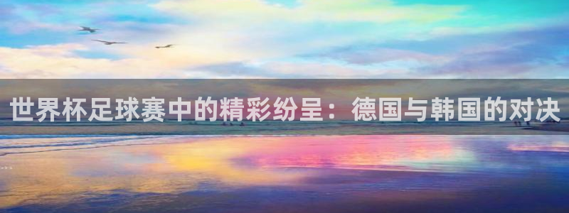 世界杯转播表:世界杯足球赛中的精彩纷呈:德国与韩国的对决