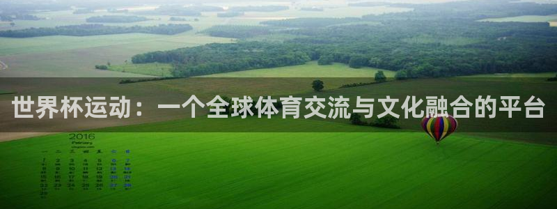 世界杯决赛直播:世界杯运动:一个全球体育交流与文化融合的平台