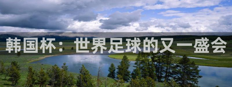 世界杯直播:韩国杯:世界足球的又一盛会