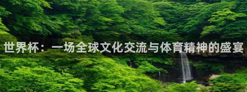 2006年世界杯:世界杯:一场全球文化交流与体育精神的盛宴