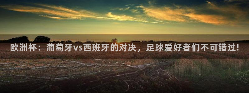 2026葡萄牙杯赛程表:欧洲杯:葡萄牙vs西班牙的对决,足球爱好者们不可错过!