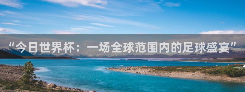 美洲杯直播:“今日世界杯:一场全球范围内的足球盛宴”