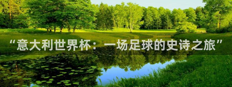 2026世界杯直播免费观看:“意大利世界杯:一场足球的史诗之旅”